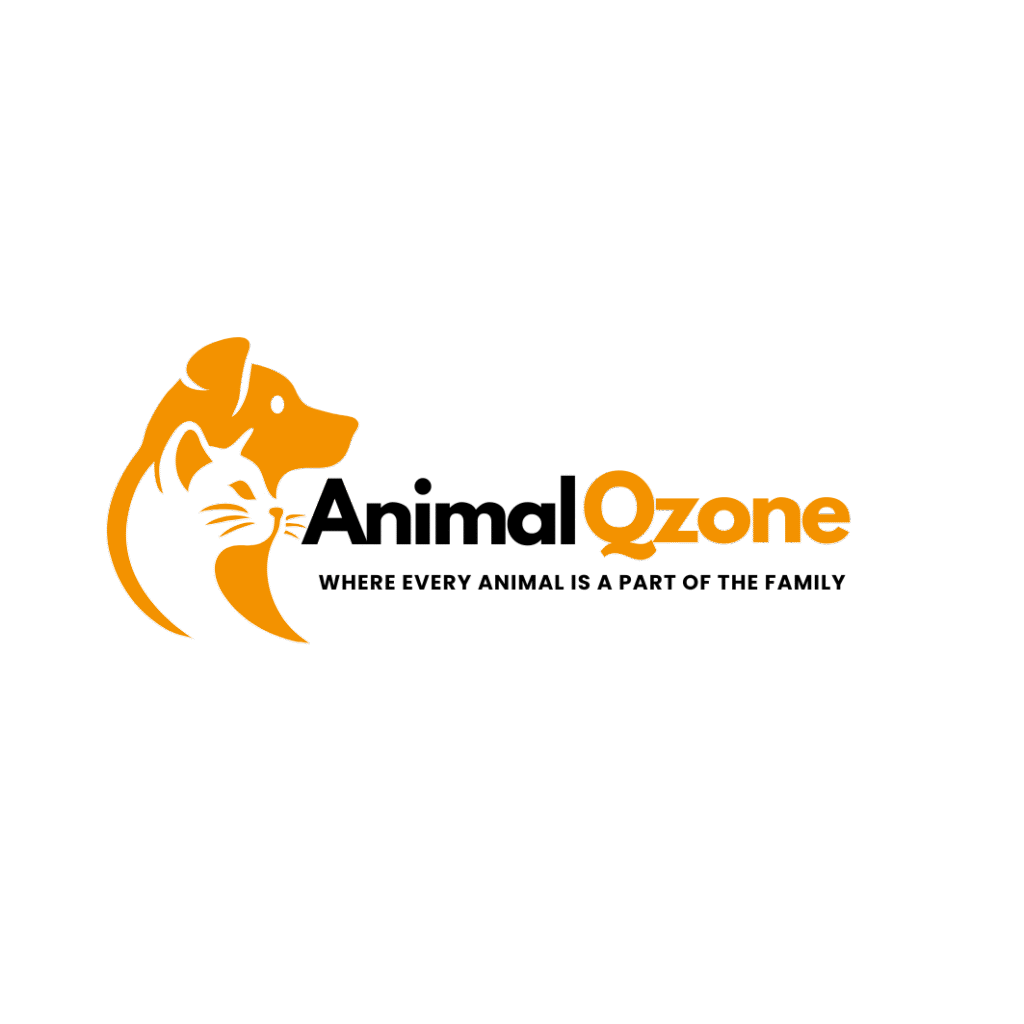 Black and Orange Cat Animal & Pets Logo (1)